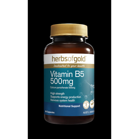 Herbs of Gold Vitamin B5 500mg 60caps