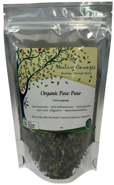 Healing Concepts Paw Paw Tea 50g